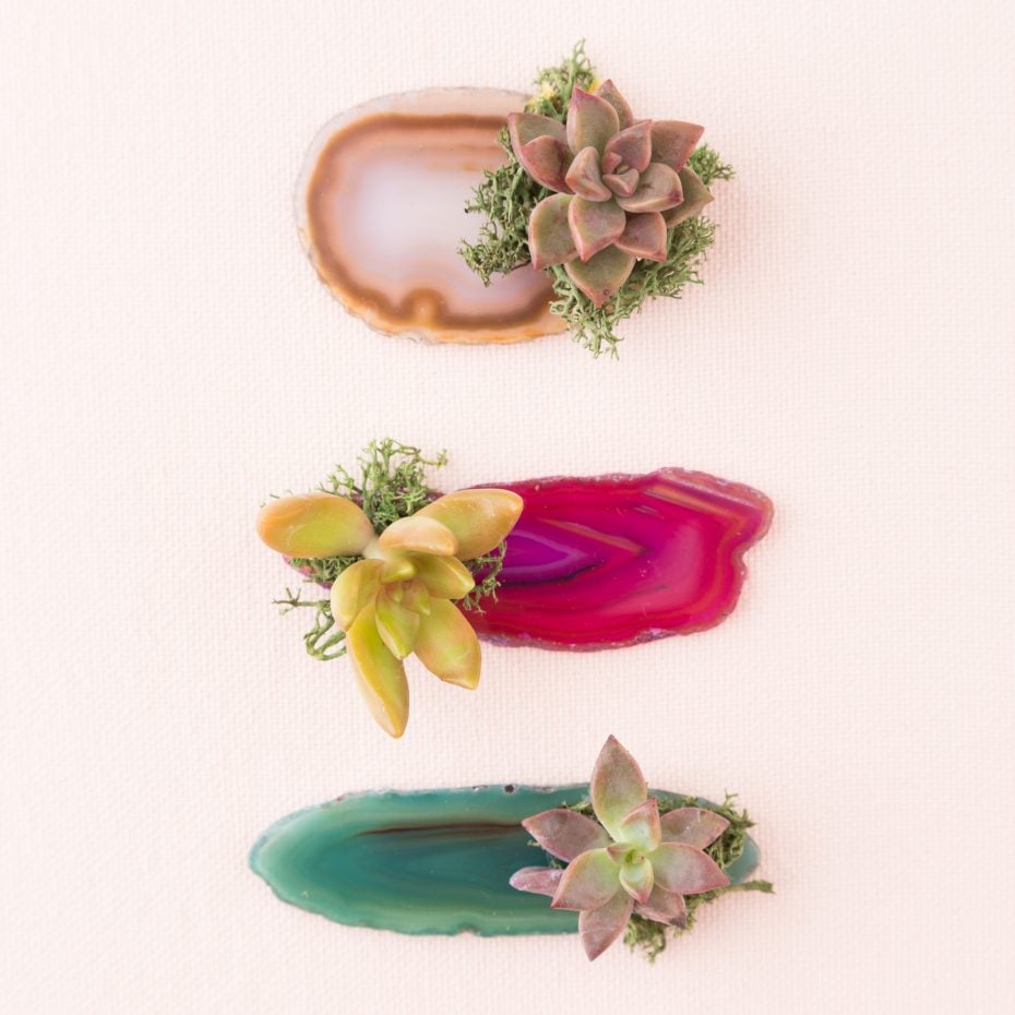 Cheap and Easy-to-Make Succulent Wedding Favors agate succulent party favor