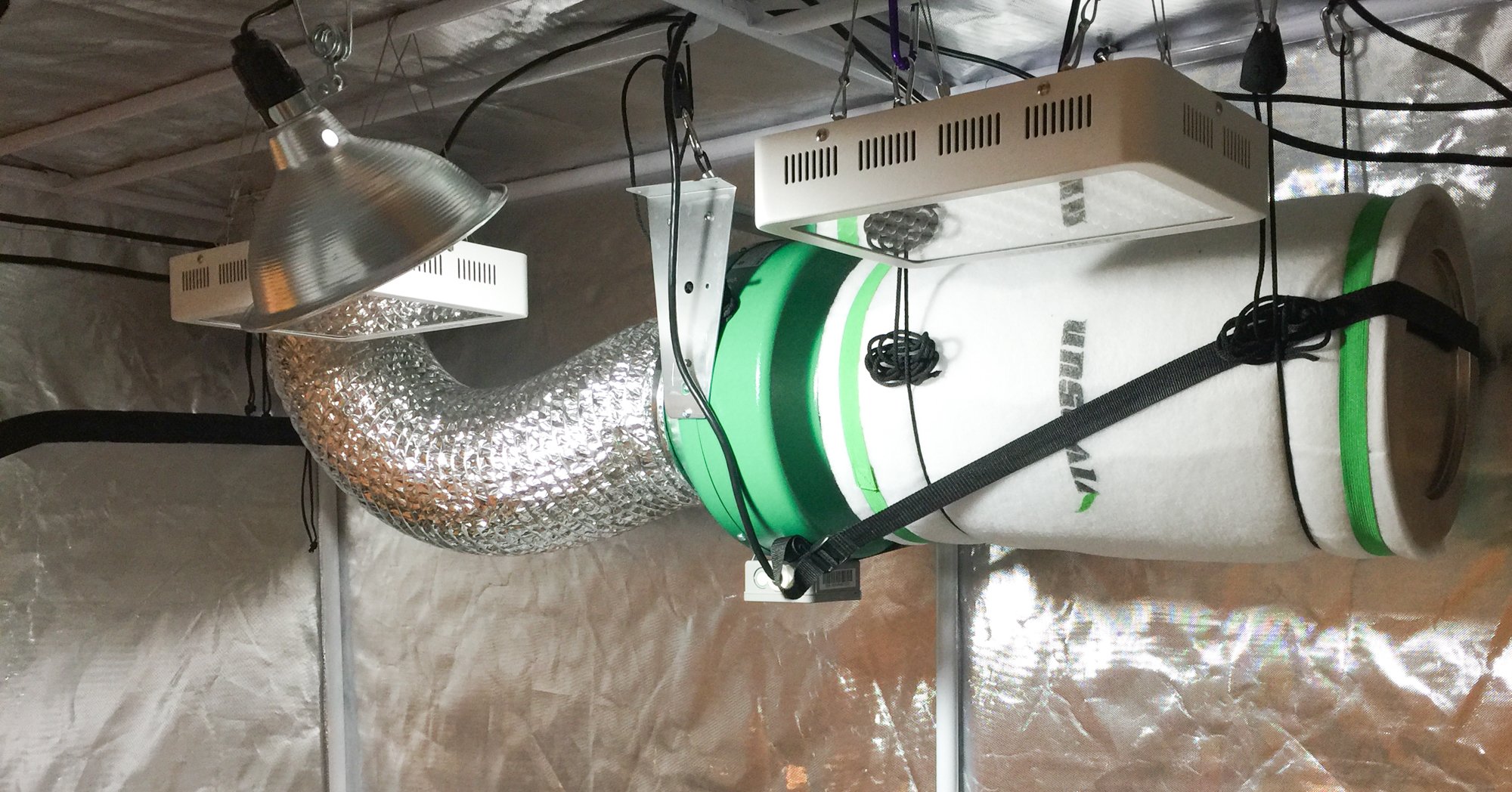 Grow Tent for Indoor Succulents What do you need to know Succulents