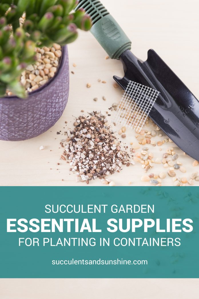 Basic Supplies for Planting Succulents | Succulents and Sunshine