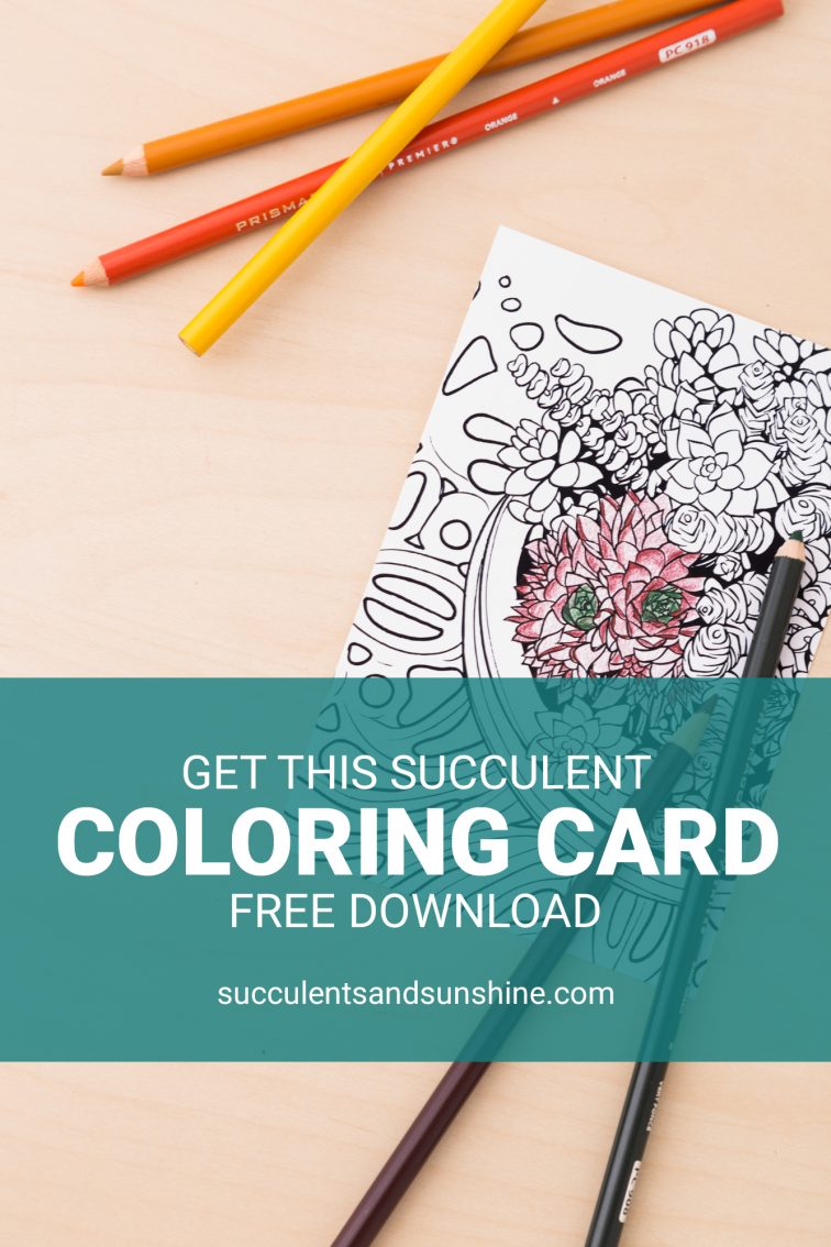 Succulent Coloring Card – Free Printable! | Succulents and Sunshine