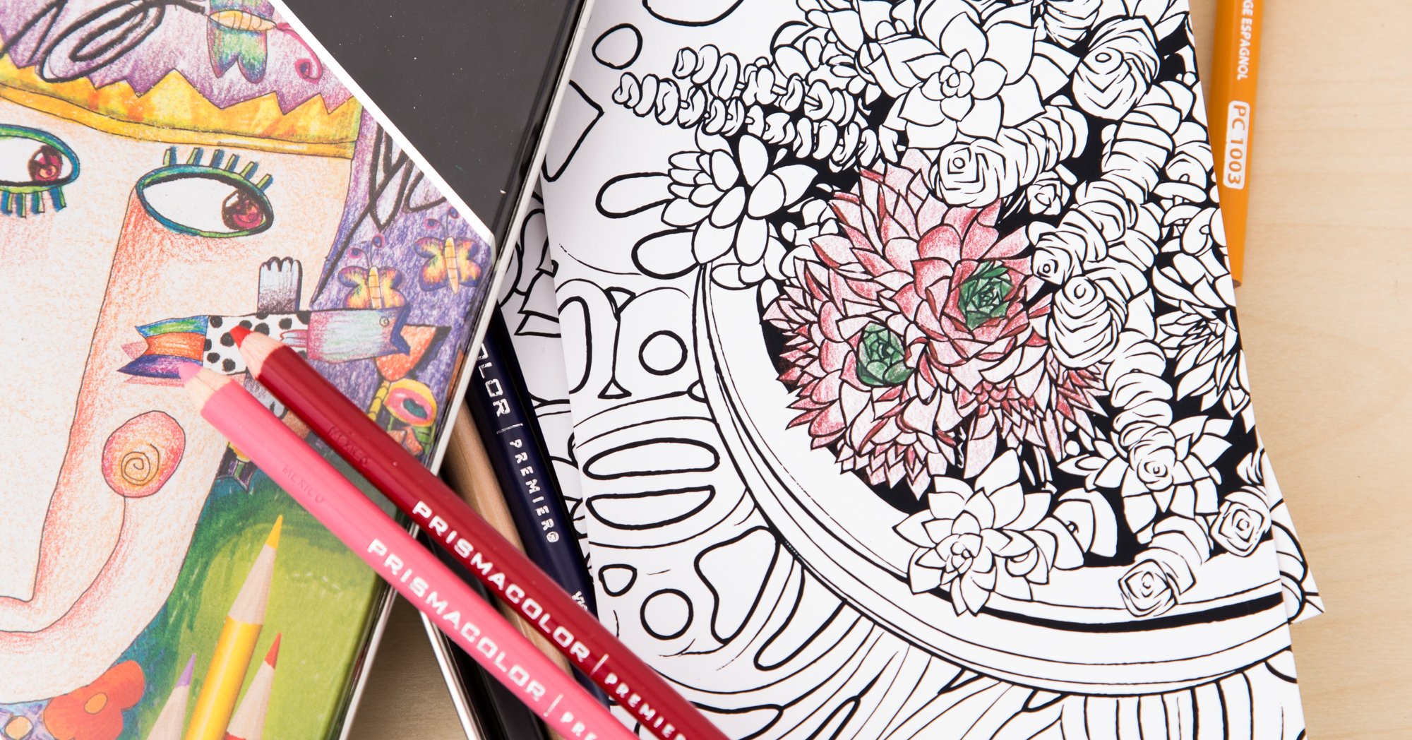 Download Succulent Coloring Card Free Printable Succulents And Sunshine