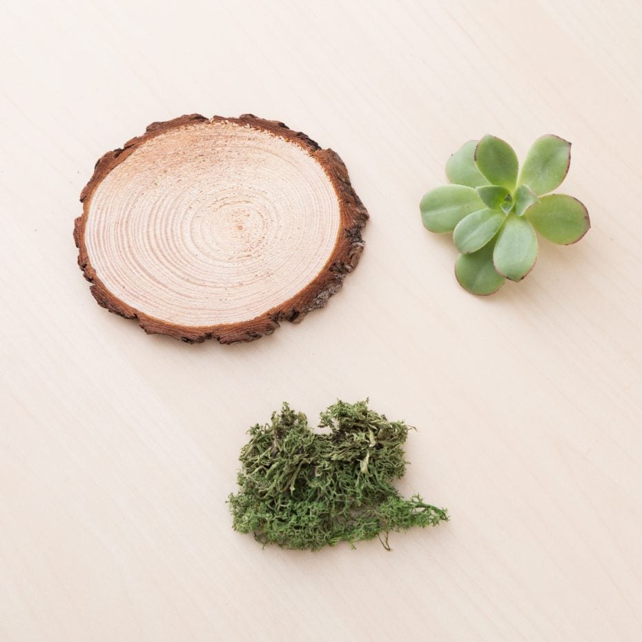 Cheap and Easy-to-Make Succulent Wedding Favors glue succulents on wood