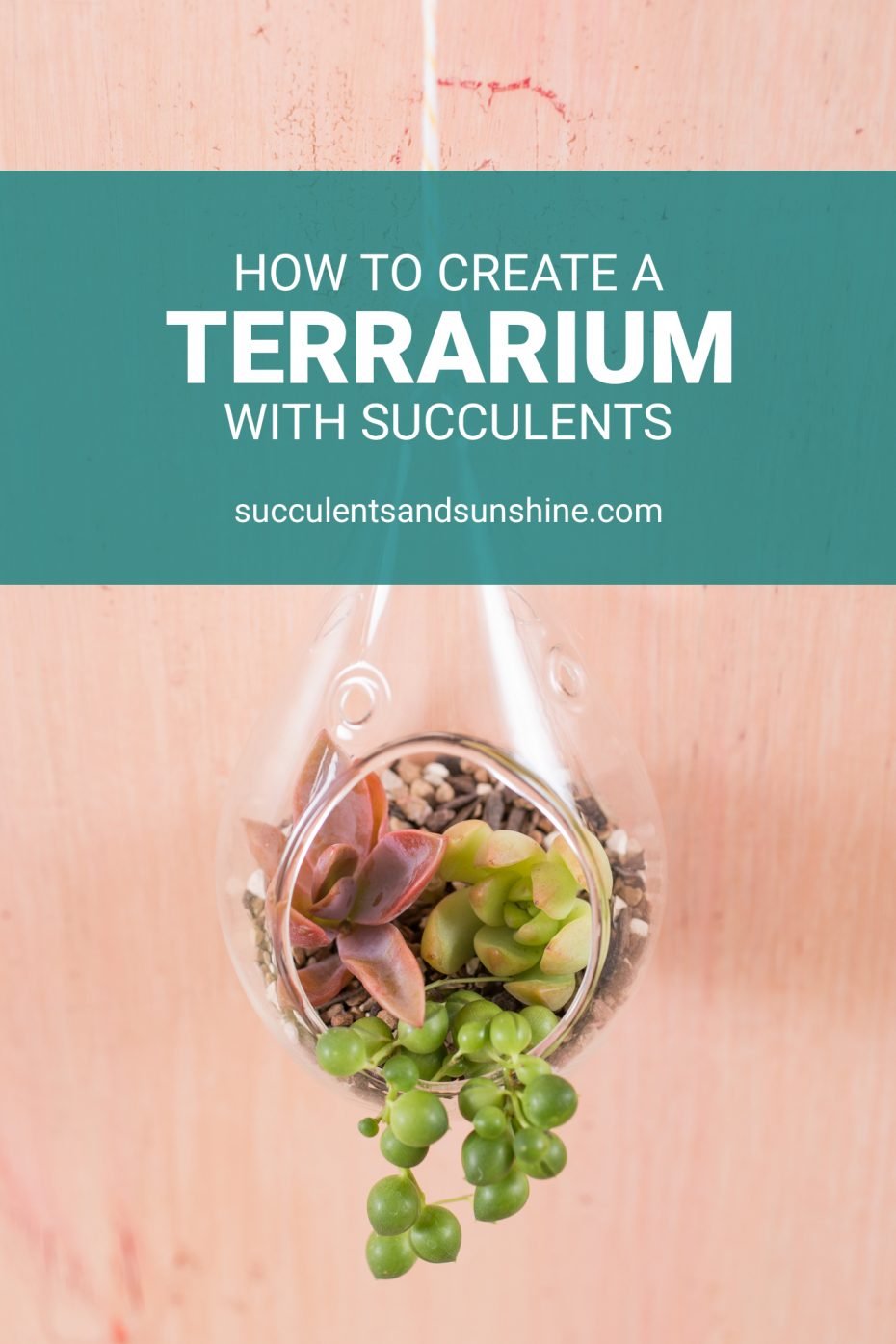 How to Make a Succulent Terrarium Succulents and Sunshine
