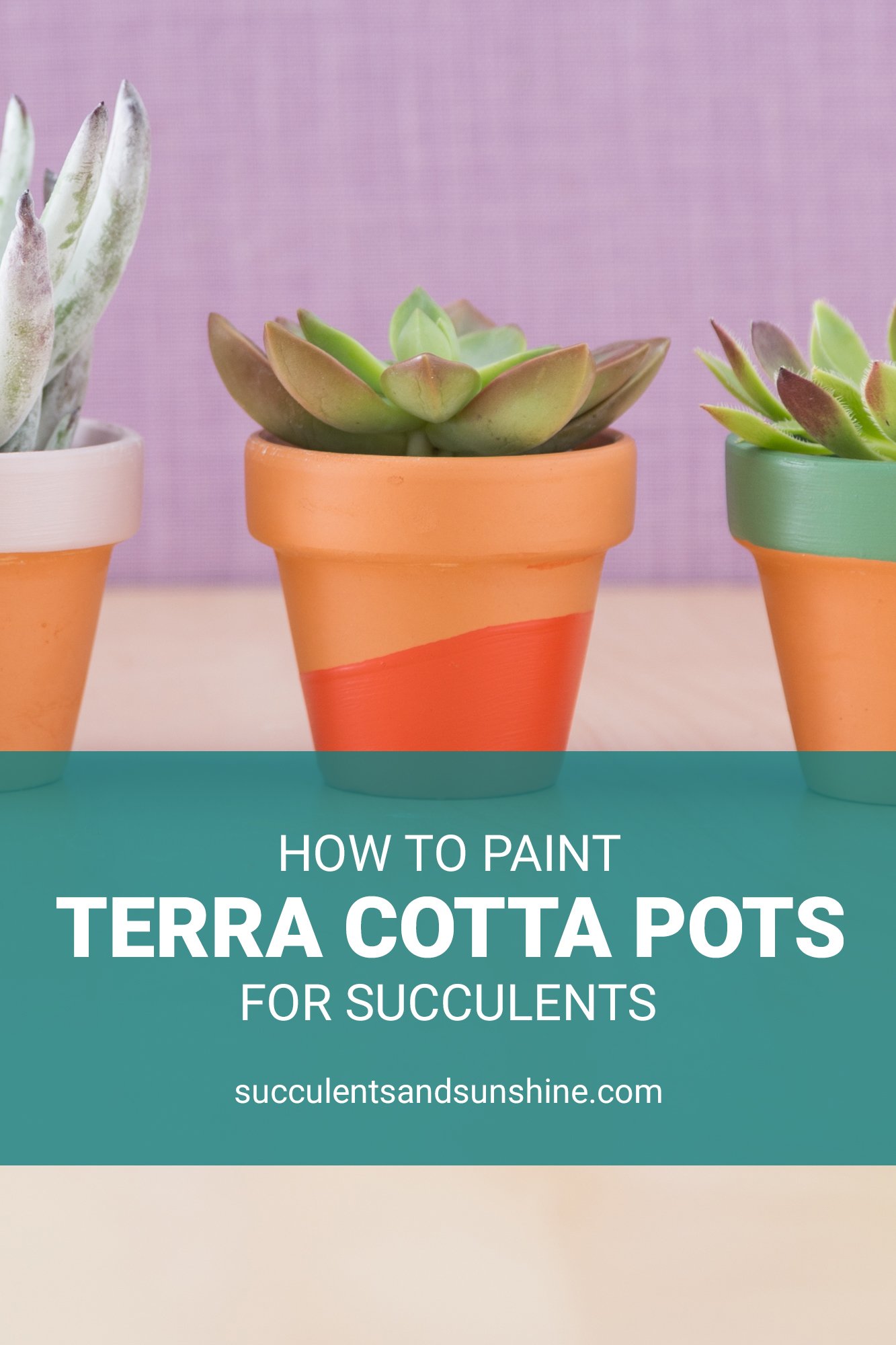 How to Paint Terracotta Pots for Succulents Succulents and Sunshine
