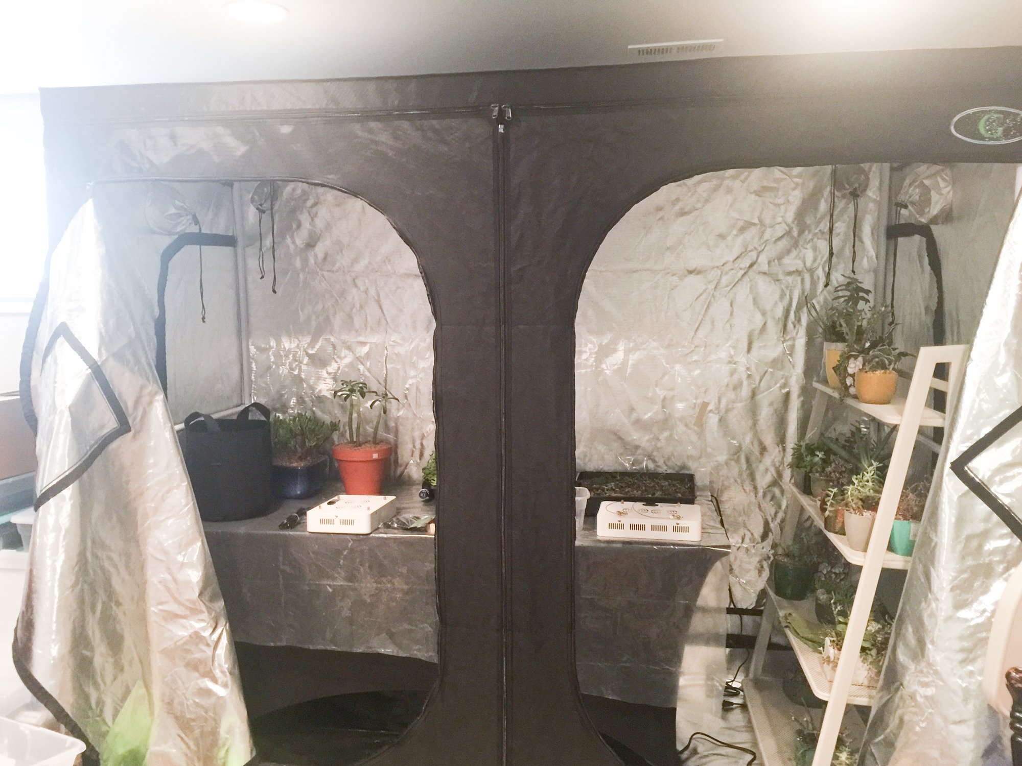 Grow Tent for Indoor Succulents What do you need to know Succulents