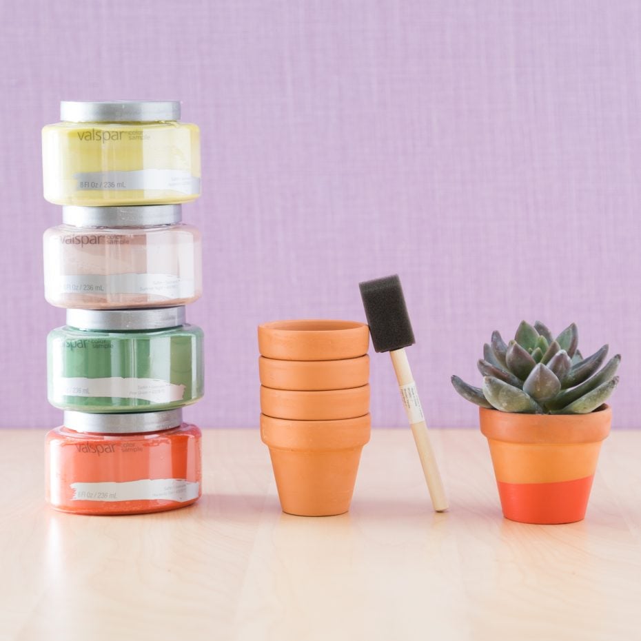 How to Paint Terracotta Pots for Succulents Succulents and Sunshine