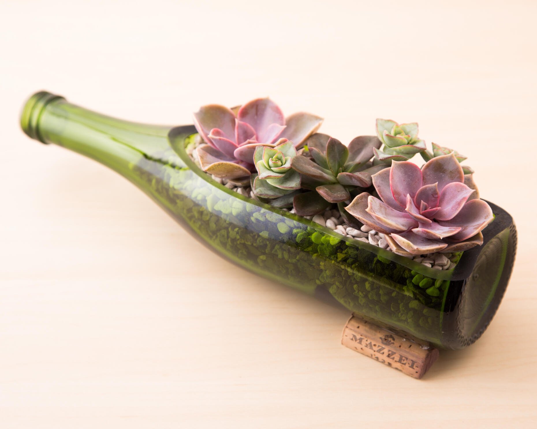 DIY Wine Bottle Planter for Succulents Succulents and Sunshine