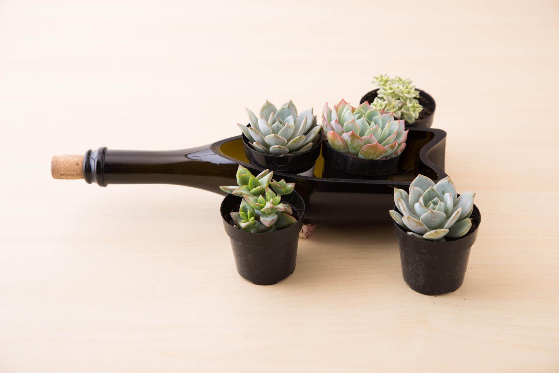 DIY Wine Bottle Planter for Succulents Succulents and Sunshine
