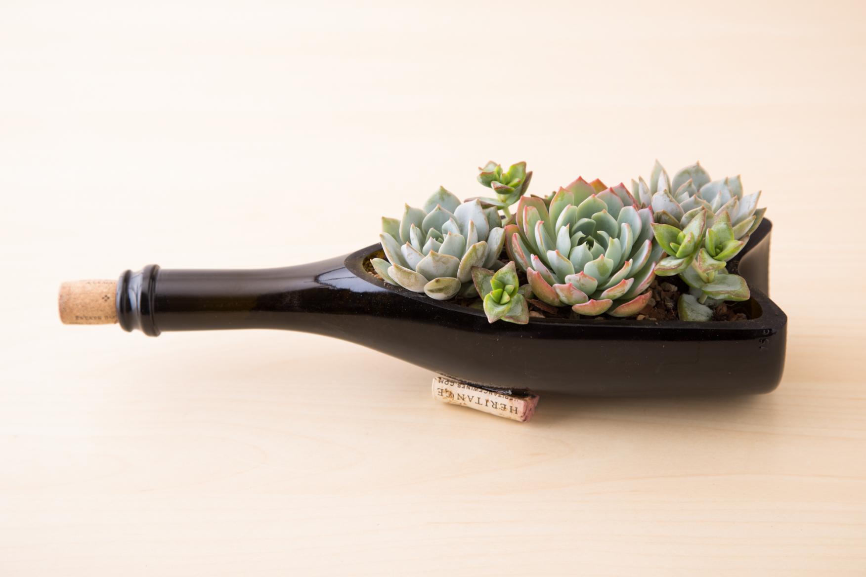 DIY Wine Bottle Planter for Succulents | Succulents and Sunshine