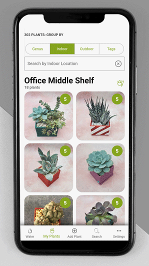 Email Thank You add a plant to the succulent tracker app