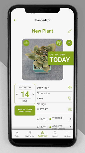Email Thank You options for adding details to a succulent tracker plant