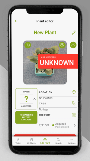 Email Thank You setting watering schedule watering succulent tracker app